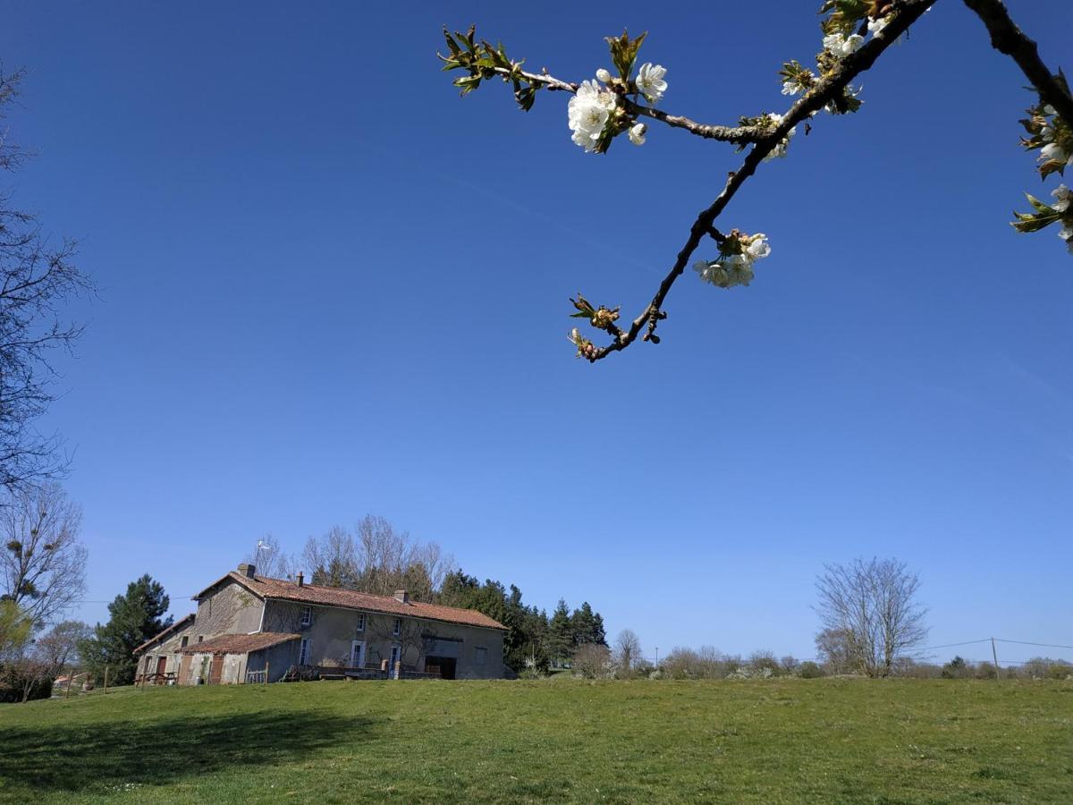 Maison Au Calme Avec Vue Etang Clesse  Kültér fotó