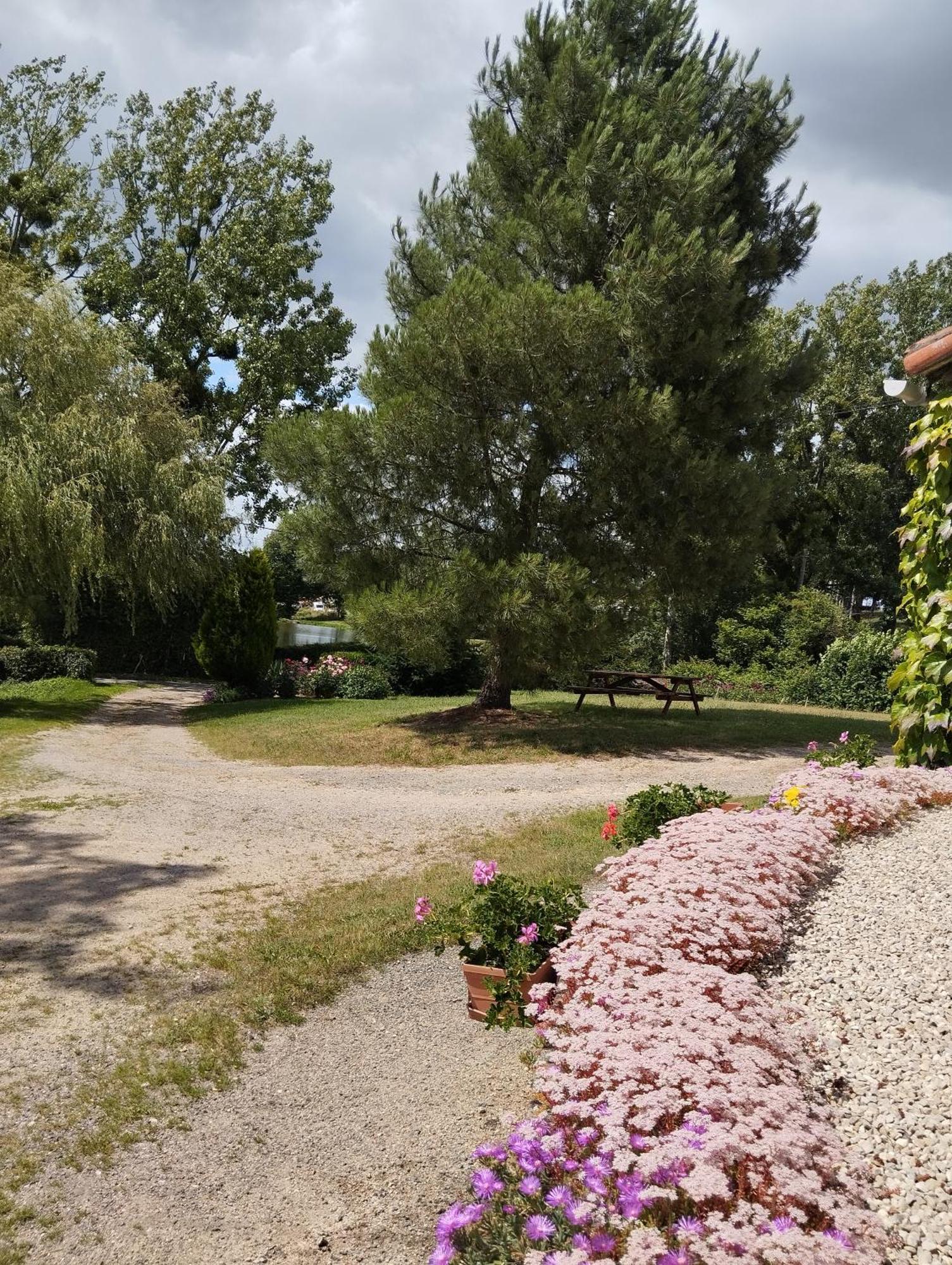 Maison Au Calme Avec Vue Etang Clesse  Kültér fotó